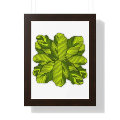 Calathea Yellow Fusion Framed Print – Botanical Wall Art