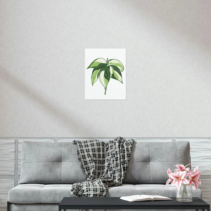 Philodendron Cream Splash Botanical Print – Unframed Wall Art