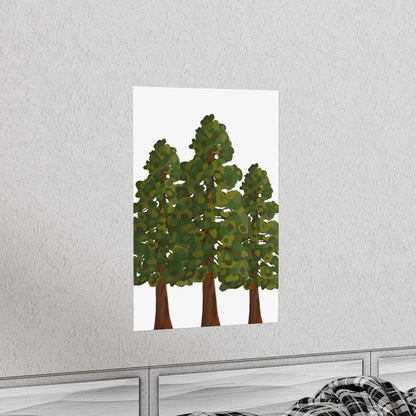 Coastal Redwood Print – Unframed Wall Art