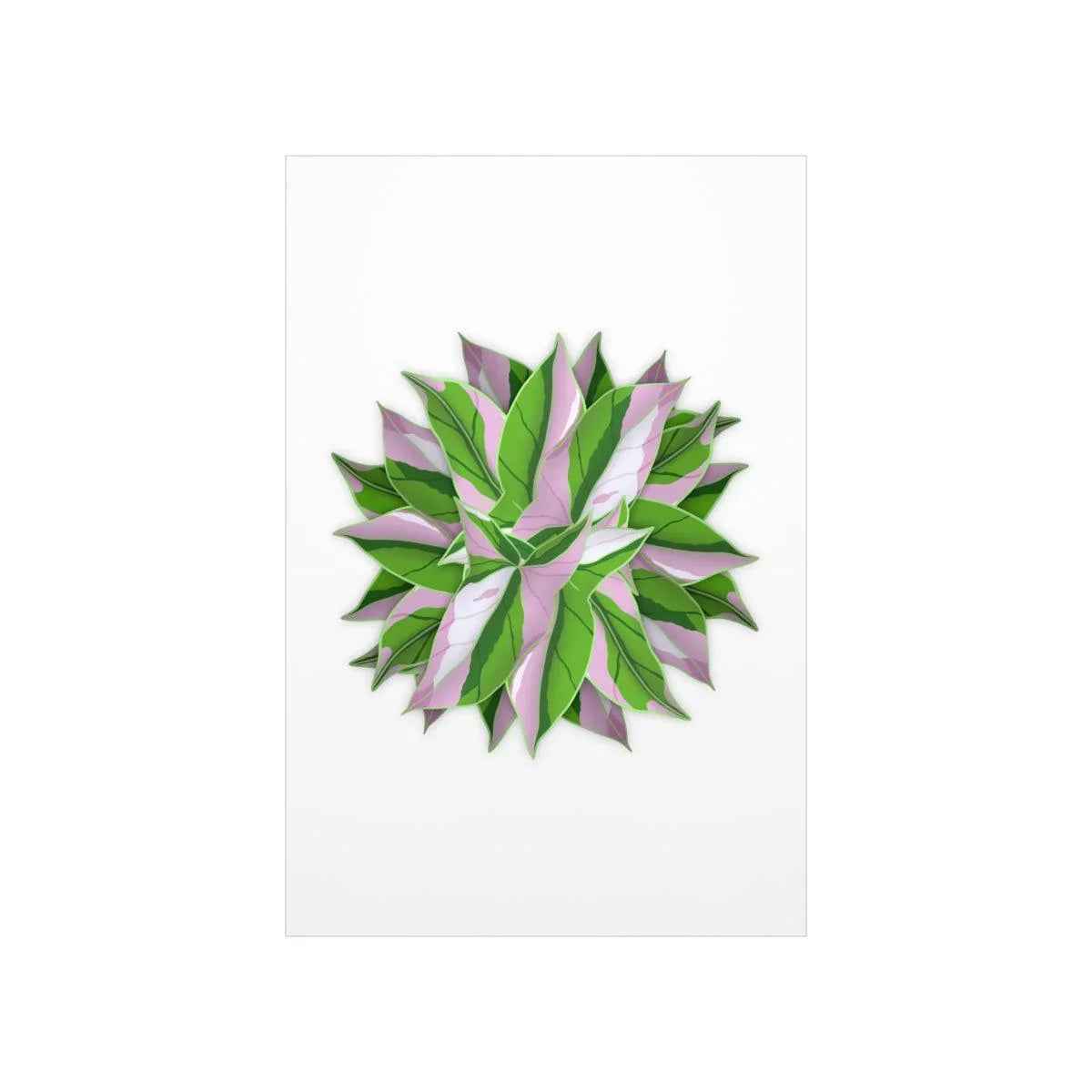 Syngonium Tricolor Pattern Botanical Print – Unframed Wall Art