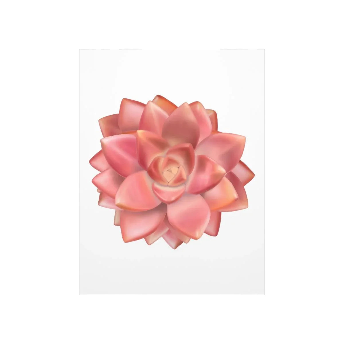 Graptosedum California Sunset Succulent Botanical Print – Unframed Wall Art
