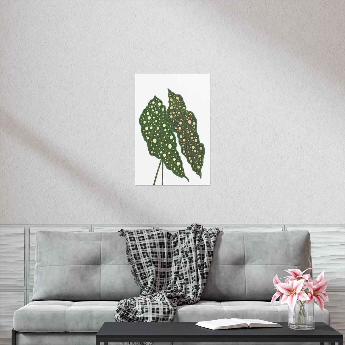 Begonia Maculata Botanical Print – Unframed Wall Art