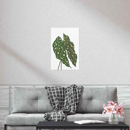 Begonia Maculata Botanical Print – Unframed Wall Art