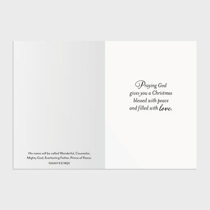 Snowy Scenes Dual Pack Christmas Boxed Cards