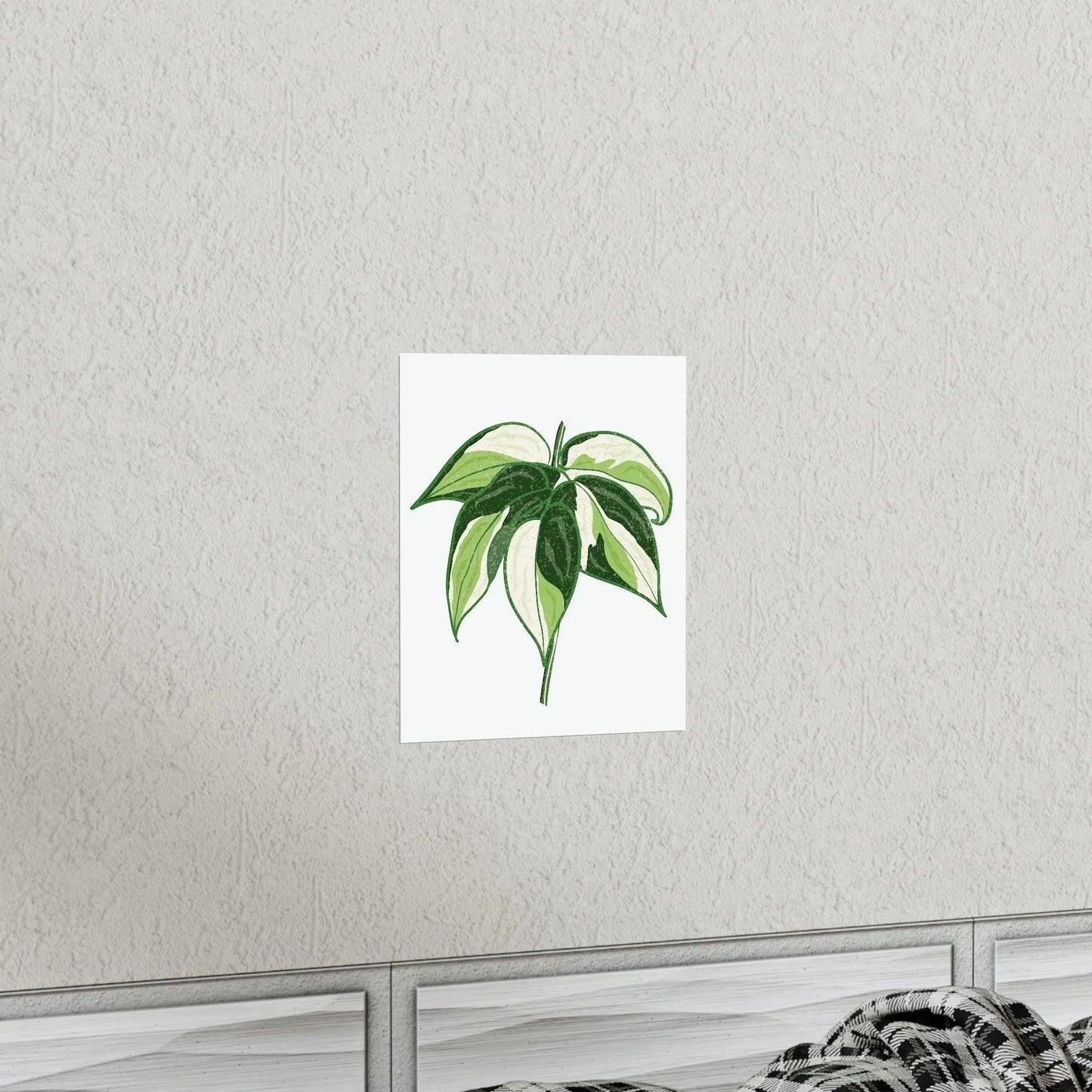Philodendron Cream Splash Botanical Print – Unframed Wall Art