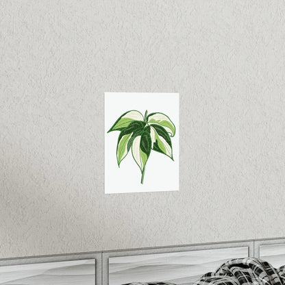 Philodendron Cream Splash Botanical Print – Unframed Wall Art