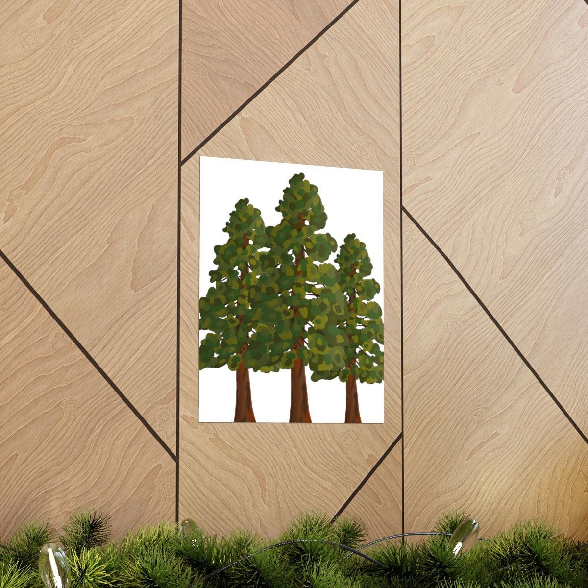 Coastal Redwood Print – Unframed Wall Art