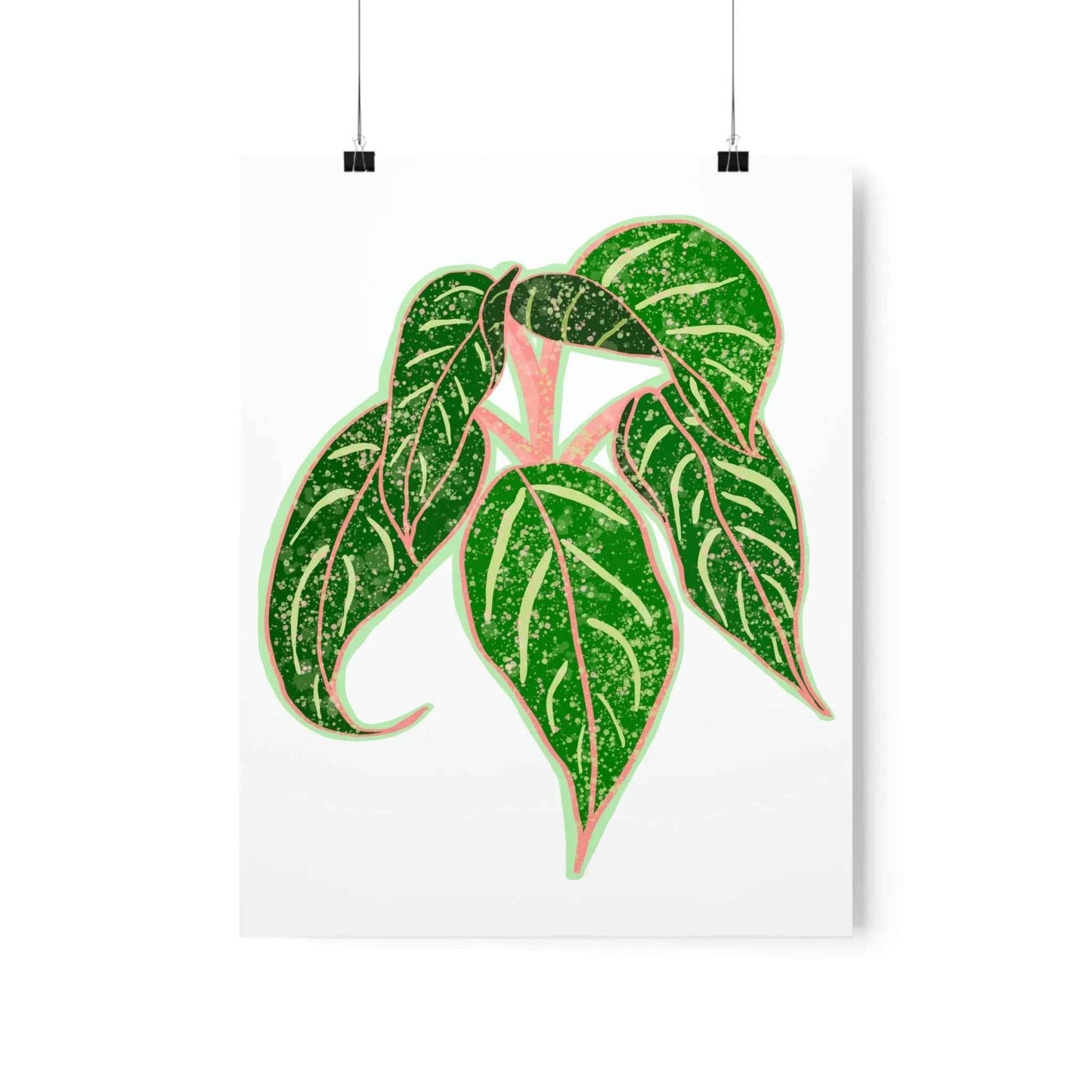 Aglaonema Sparkling Sarah Botanical Print – Unframed Wall Art