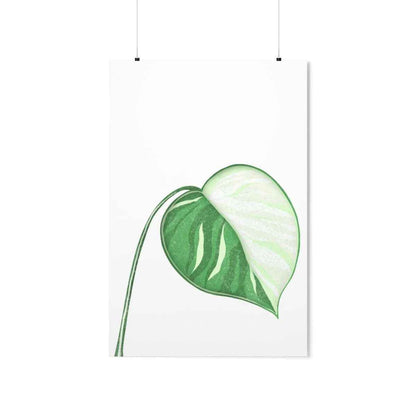 Monstera Albo Botanical Print – Unframed Wall Art
