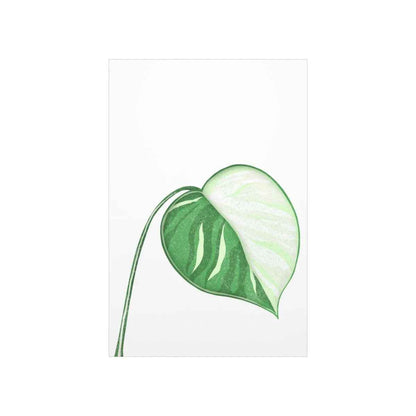 Monstera Albo Botanical Print – Unframed Wall Art
