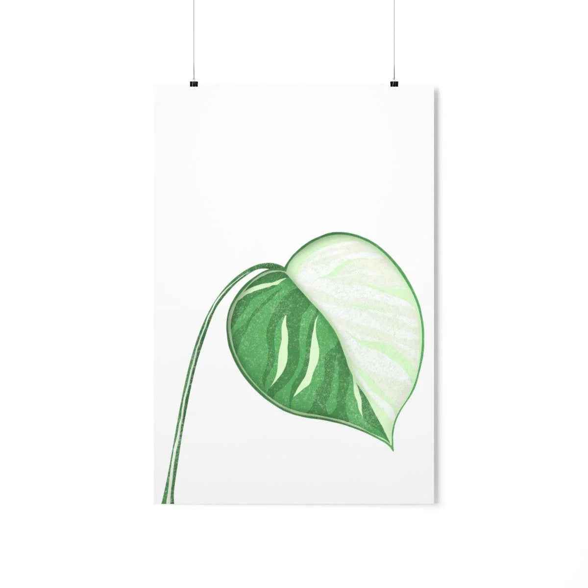 Monstera Albo Botanical Print – Unframed Wall Art