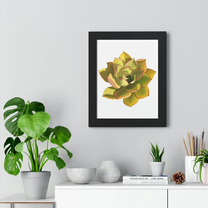 Noble Aeonium Succulent Framed Print – Botanical Wall Art