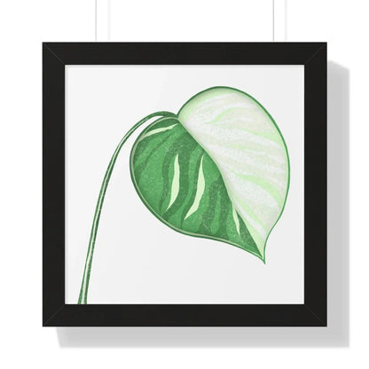 Monstera Albo Illustrated Framed Print – Botanical Wall Art