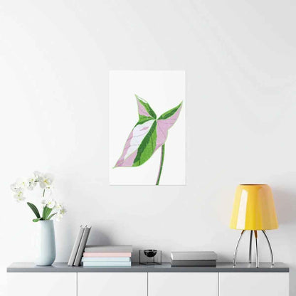 Syngonium Tricolor Botanical Print – Unframed Wall Art