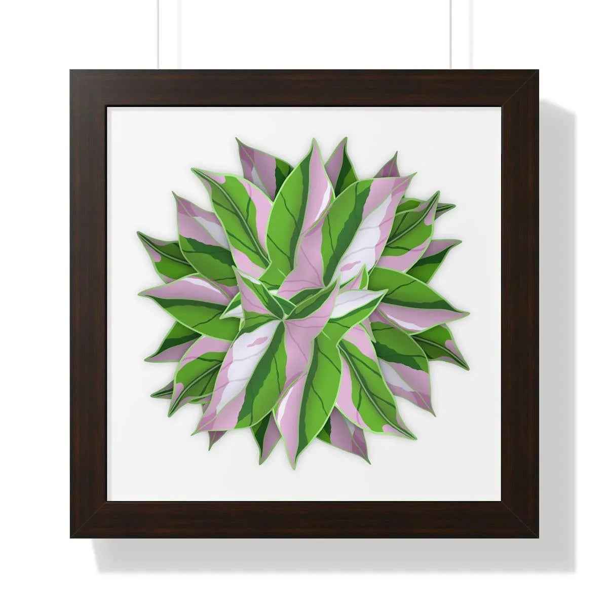 Syngonium Tricolor Pattern Framed Print – Botanical Wall Art