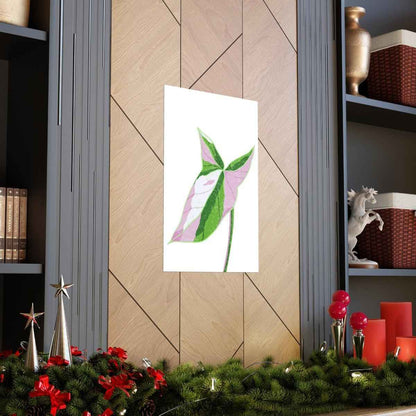 Syngonium Tricolor Botanical Print – Unframed Wall Art