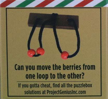 Holiday Puzzlebox Brainteaser - Yule Log