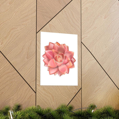 Graptosedum California Sunset Succulent Botanical Print – Unframed Wall Art