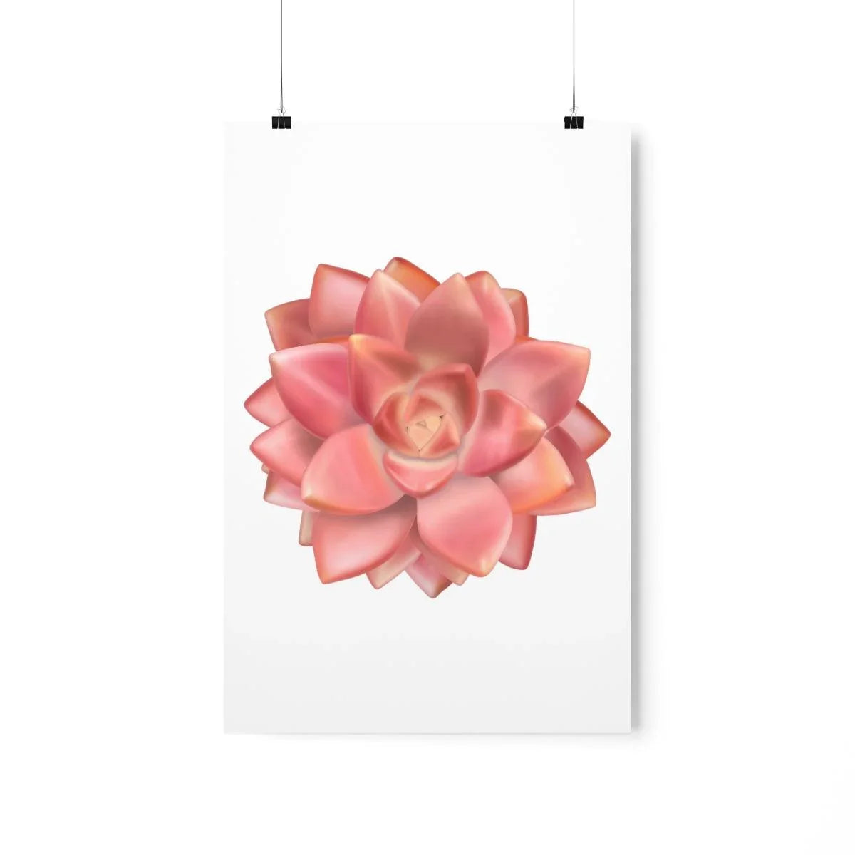 Graptosedum California Sunset Succulent Botanical Print – Unframed Wall Art