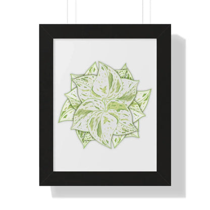 Snow Queen Pothos Framed Print – Botanical Wall Art