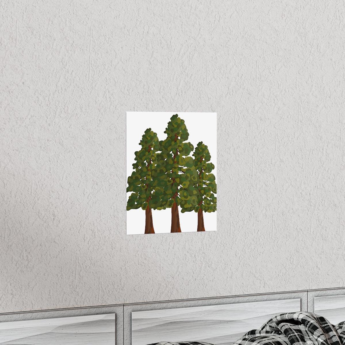 Coastal Redwood Print – Unframed Wall Art