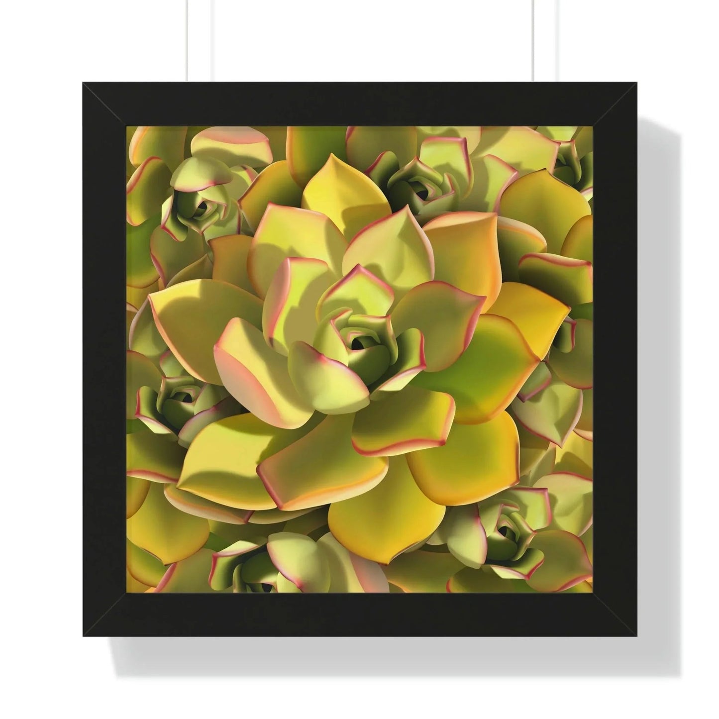 Noble Aeonium Succulent Pattern Framed Print – Botanical Wall Art