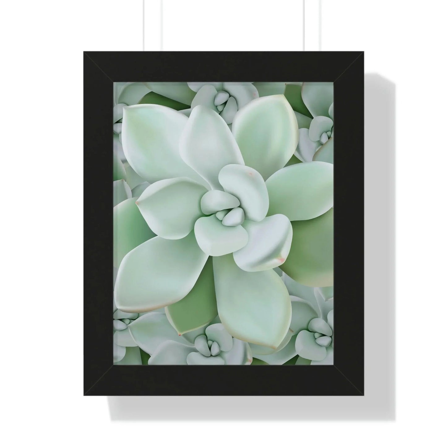Pachyveria Haagei Succulent Pattern Framed Print – Botanical Wall Art