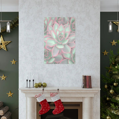 Echeveria Violet Queen Succulent Pattern Botanical Print – Unframed Wall Art