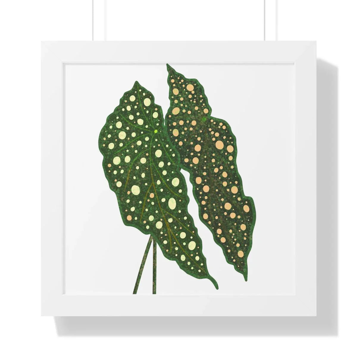 Begonia Maculata Framed Print – Botanical Wall Art
