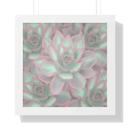 Echeveria Violet Queen Succulent Pattern Framed Print – Botanical Wall Art