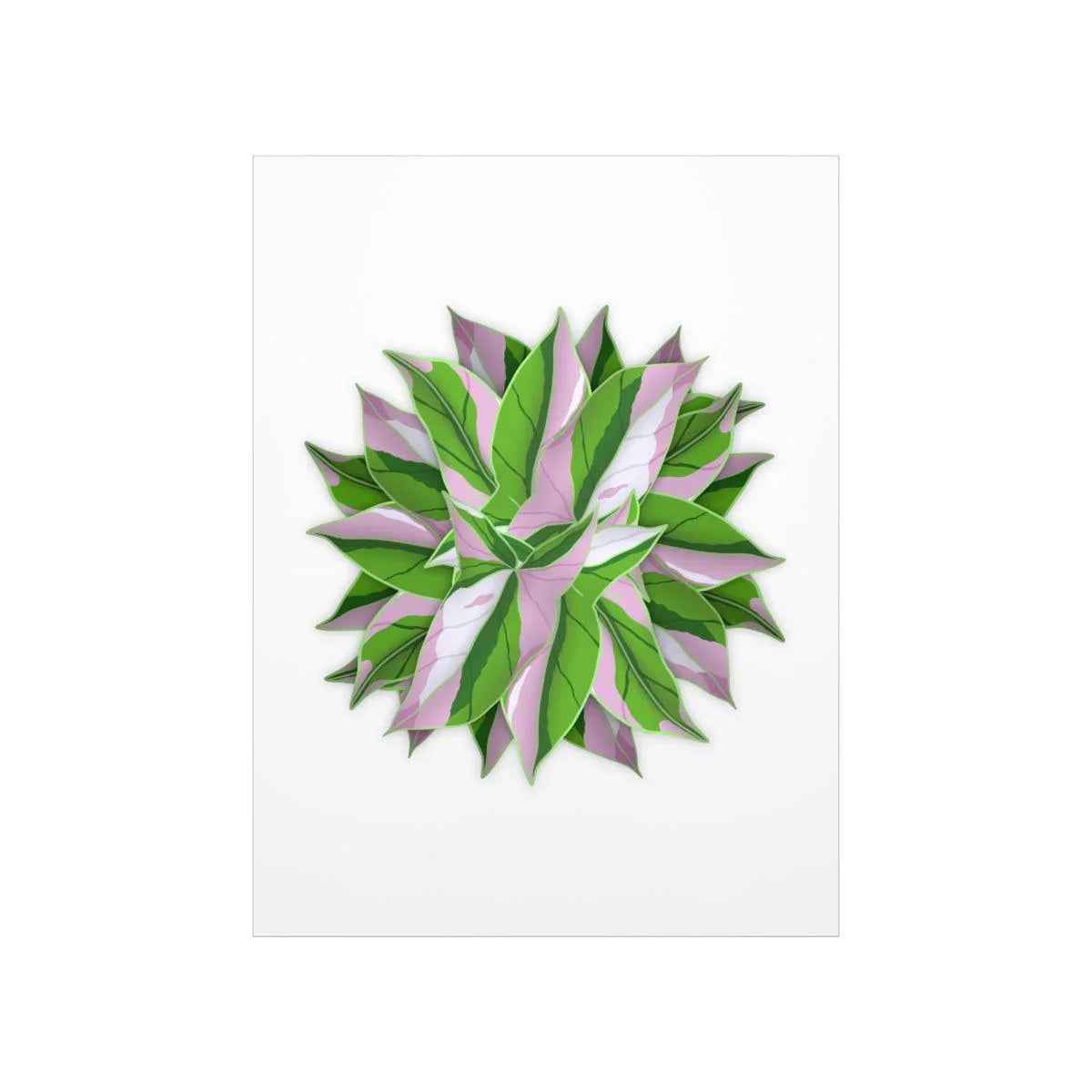 Syngonium Tricolor Pattern Botanical Print – Unframed Wall Art