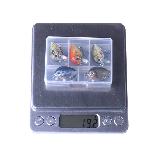 5 Color Lure Set 1.5G Mini Rock Lure Fishing Lure Box