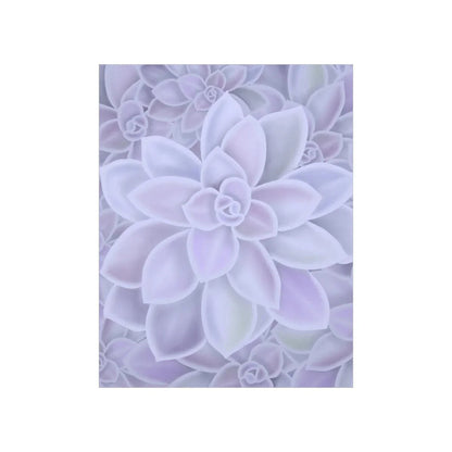 Graptopetalum Murasaki Succulent Pattern Botanical Print – Unframed Wall Art