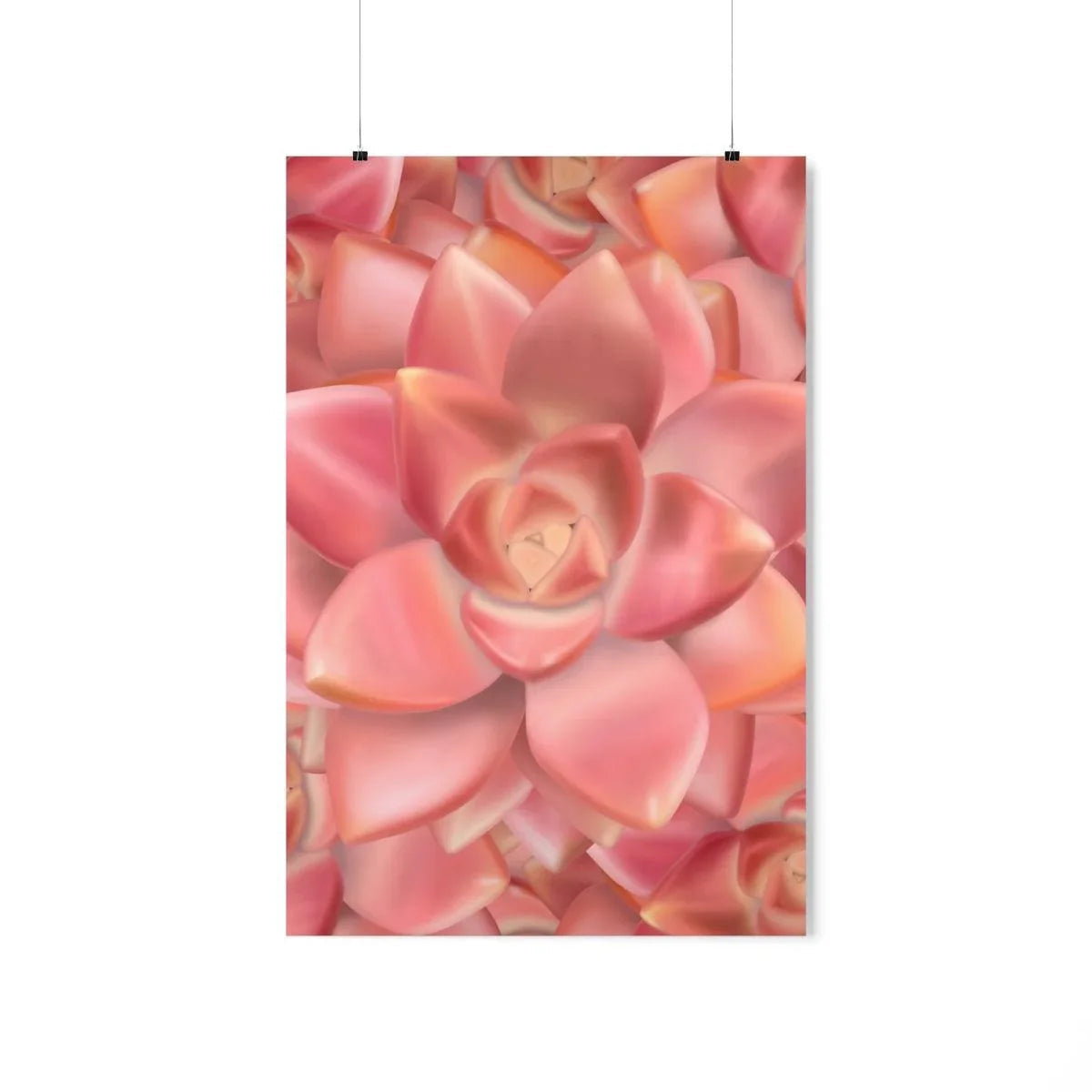 Graptosedum California Sunset Succulent Pattern Botanical Print – Unframed Wall Art