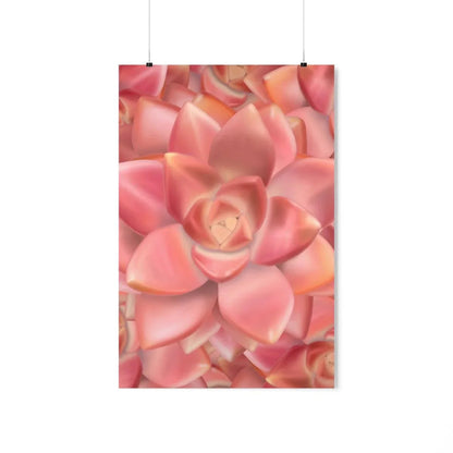 Graptosedum California Sunset Succulent Pattern Botanical Print – Unframed Wall Art