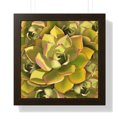 Noble Aeonium Succulent Pattern Framed Print – Botanical Wall Art