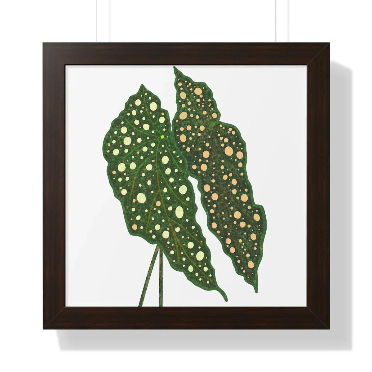 Begonia Maculata Framed Print – Botanical Wall Art