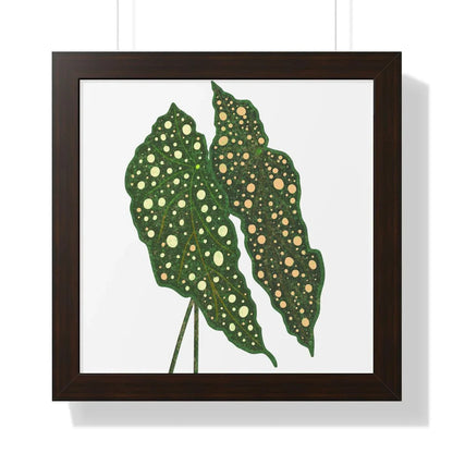 Begonia Maculata Framed Print – Botanical Wall Art