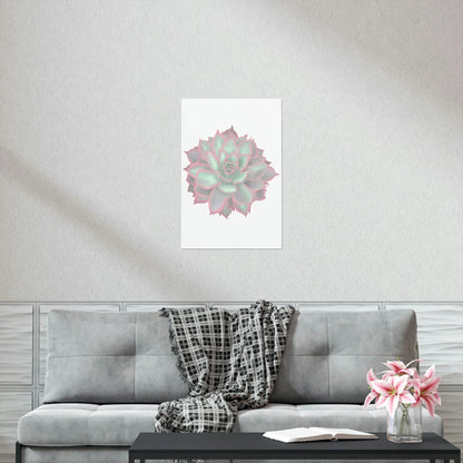 Echeveria Violet Queen Succulent Botanical Print – Unframed Wall Art