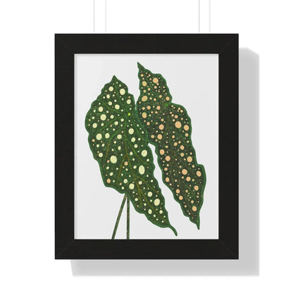 Begonia Maculata Framed Print – Botanical Wall Art