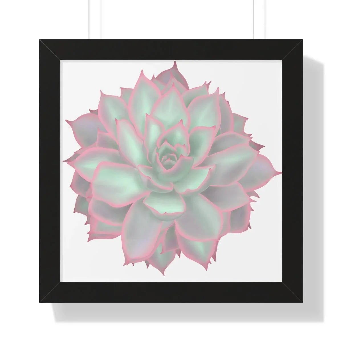 Echeveria Violet Queen Succulent Framed Print – Botanical Wall Art