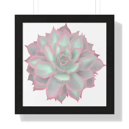 Echeveria Violet Queen Succulent Framed Print – Botanical Wall Art