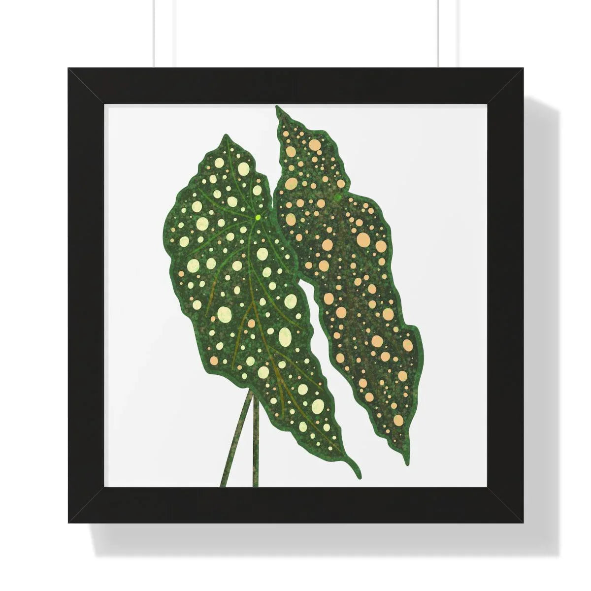 Begonia Maculata Framed Print – Botanical Wall Art