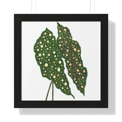 Begonia Maculata Framed Print – Botanical Wall Art