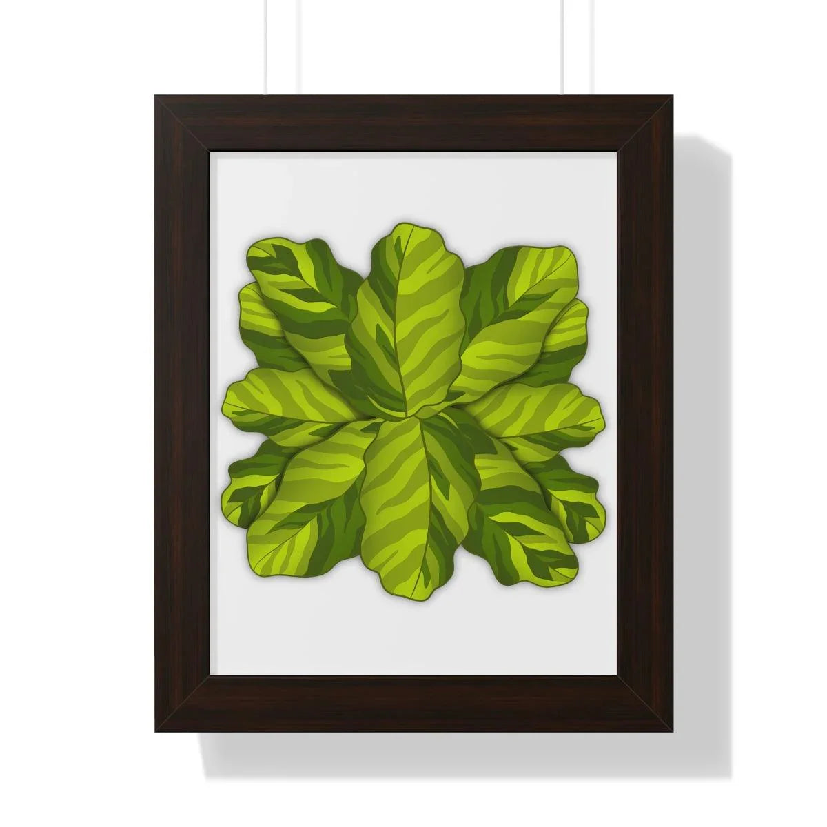 Calathea Yellow Fusion Framed Print – Botanical Wall Art