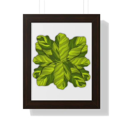 Calathea Yellow Fusion Framed Print – Botanical Wall Art