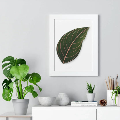 Aglaonema Rotundum Framed Print – Botanical Wall Art