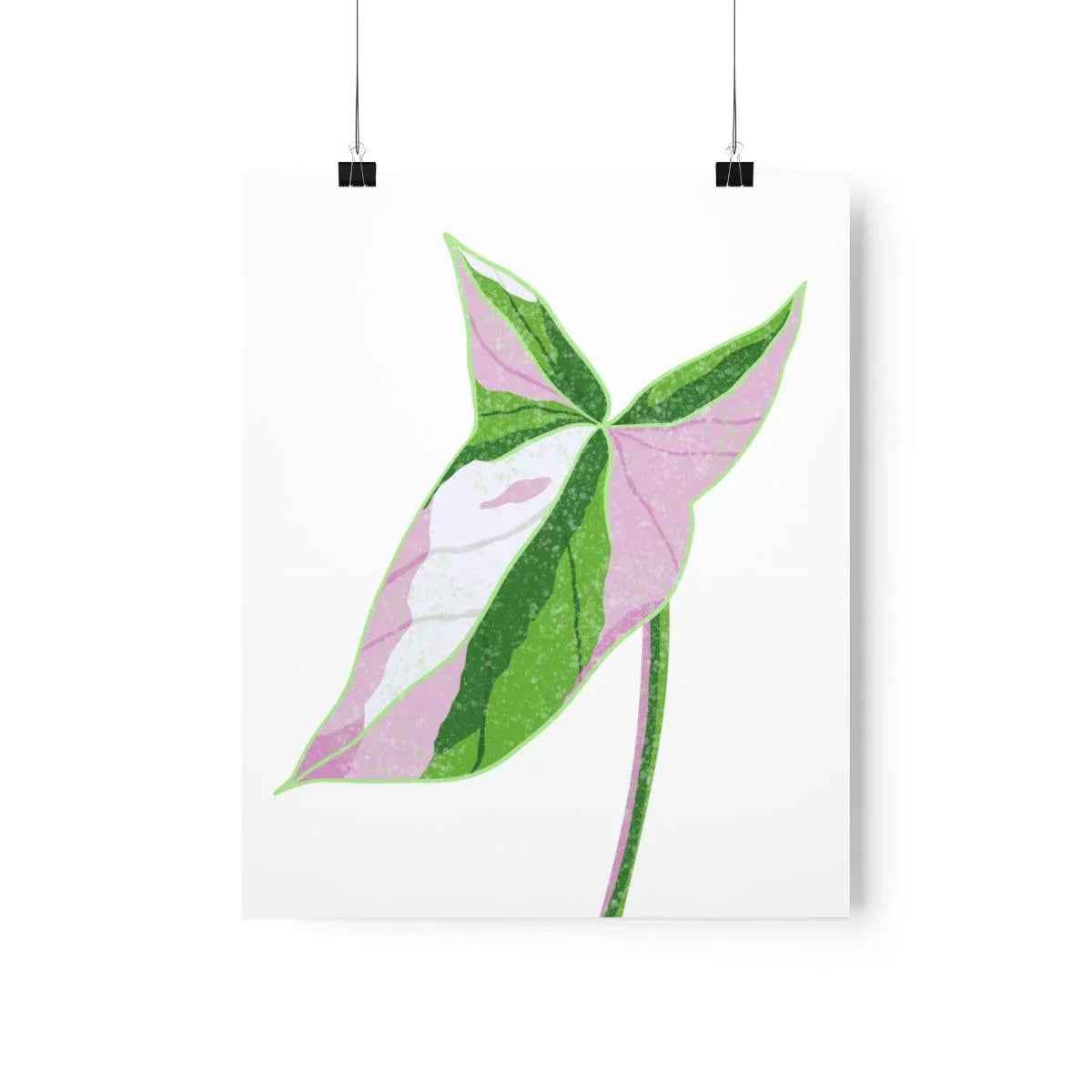 Syngonium Tricolor Botanical Print – Unframed Wall Art