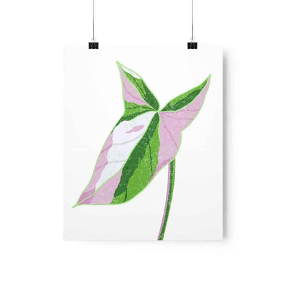 Syngonium Tricolor Botanical Print – Unframed Wall Art