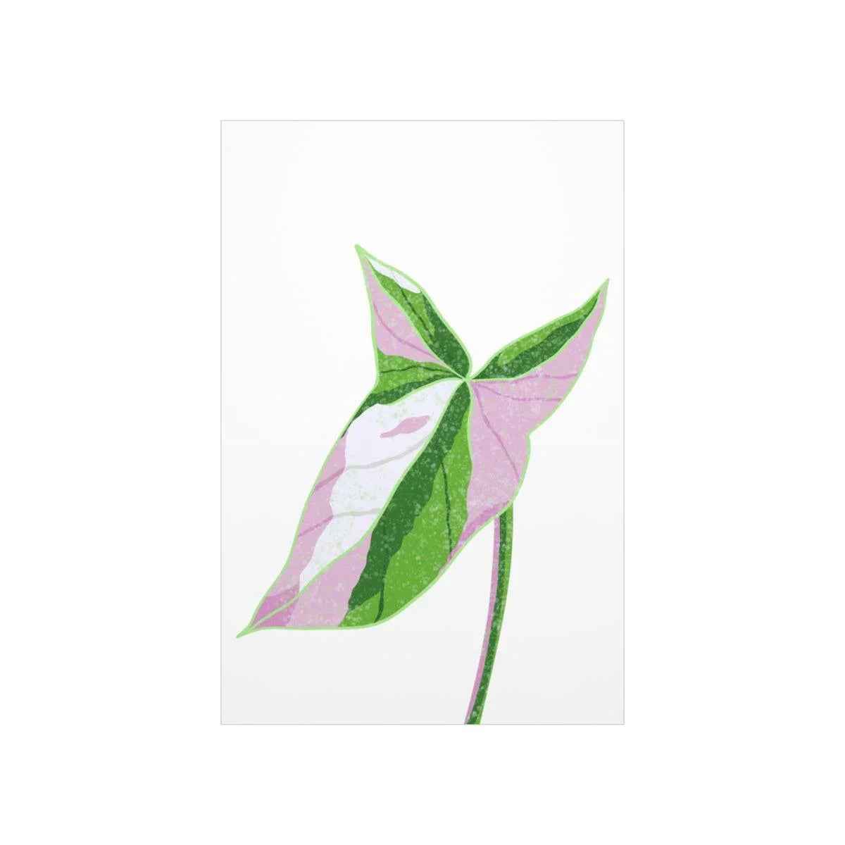 Syngonium Tricolor Botanical Print – Unframed Wall Art